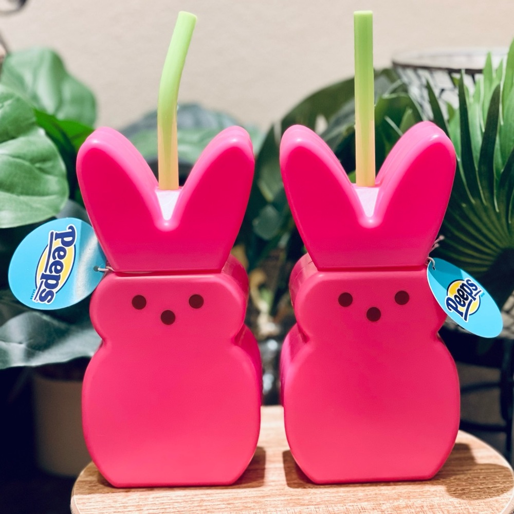 Pink Peeps Easter ZAK! Tumbler Cups with Straw Set of 2- Target